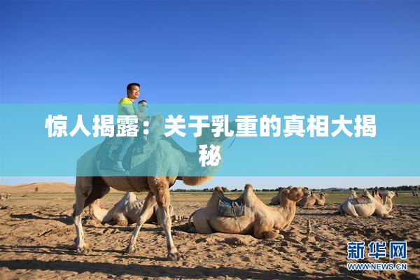 惊人揭露：关于乳重的真相大揭秘