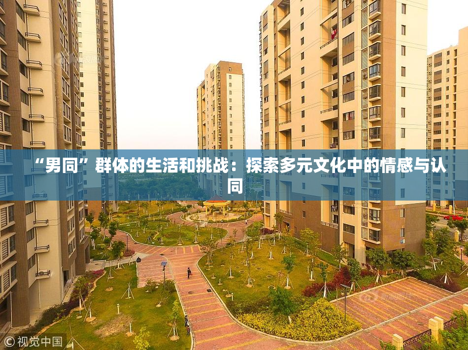 “男同”群体的生活和挑战：探索多元文化中的情感与认同