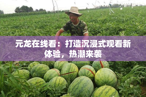 元龙在线看：打造沉浸式观看新体验，热潮来袭