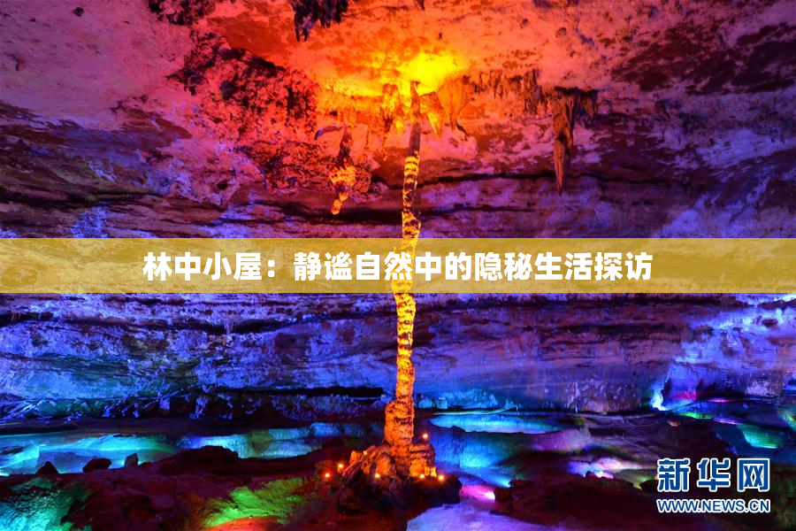 林中小屋：静谧自然中的隐秘生活探访
