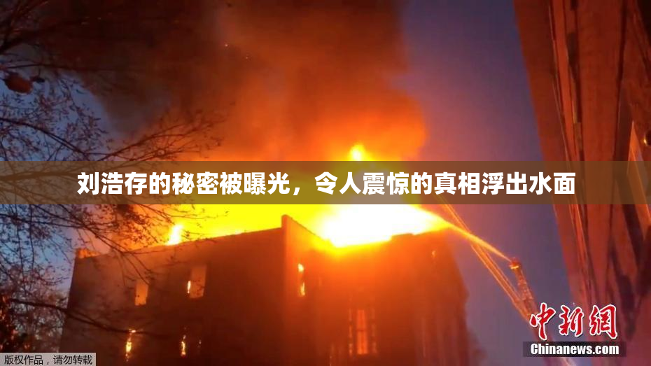 刘浩存的秘密被曝光，令人震惊的真相浮出水面