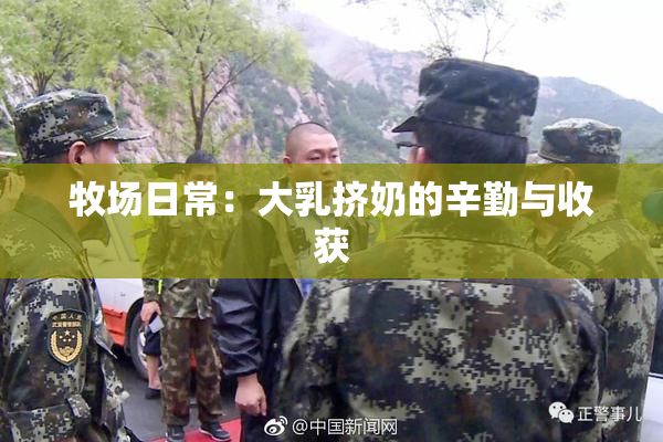 牧场日常：大乳挤奶的辛勤与收获
