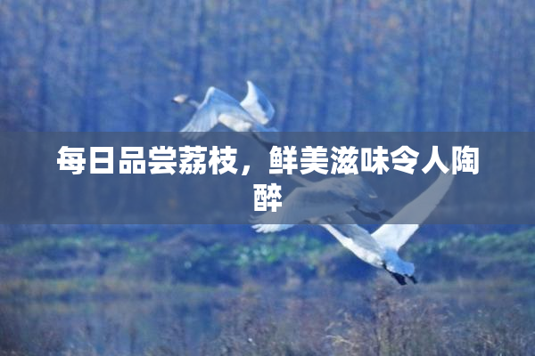 每日品尝荔枝，鲜美滋味令人陶醉