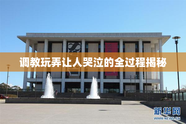 调教玩弄让人哭泣的全过程揭秘