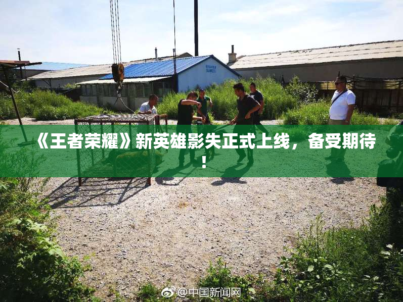 《王者荣耀》新英雄影失正式上线，备受期待！