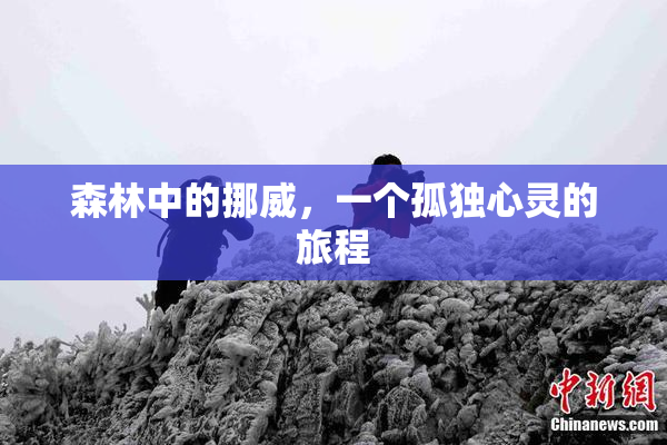 森林中的挪威，一个孤独心灵的旅程