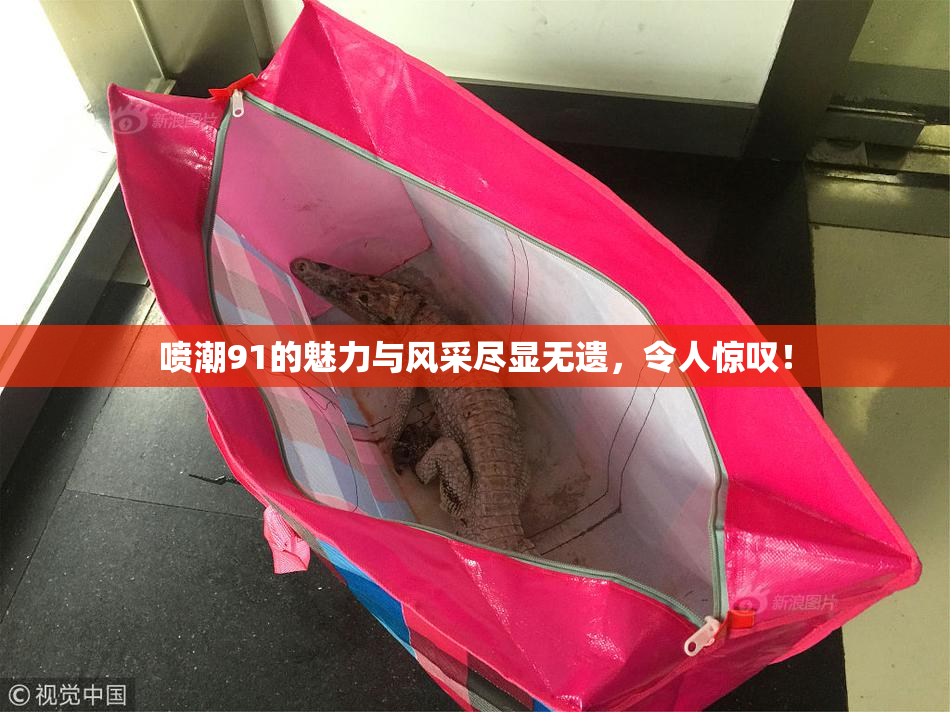 喷潮91的魅力与风采尽显无遗，令人惊叹！