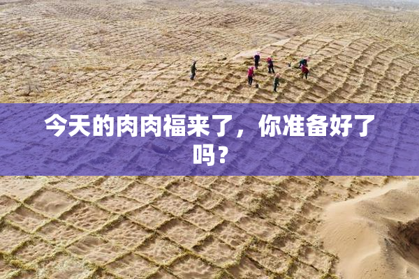今天的肉肉福来了，你准备好了吗？