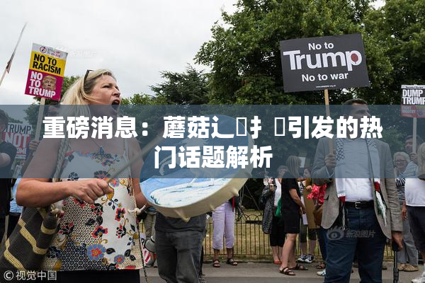 重磅消息：蘑菇辶喿扌畐引发的热门话题解析