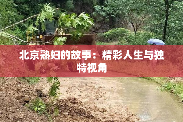 北京熟妇的故事：精彩人生与独特视角