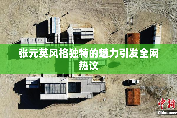 张元英风格独特的魅力引发全网热议