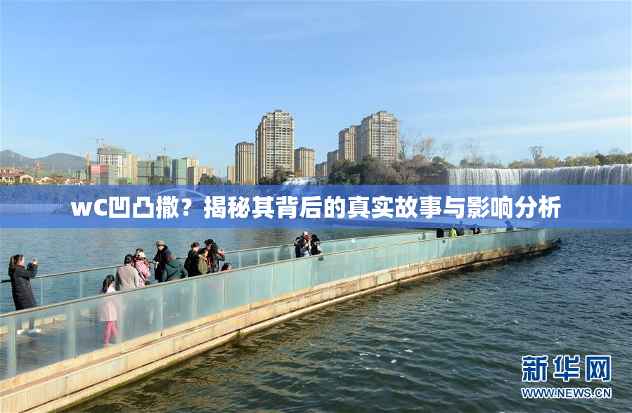 wC凹凸撒？揭秘其背后的真实故事与影响分析