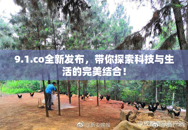 9.1.co全新发布，带你探索科技与生活的完美结合！