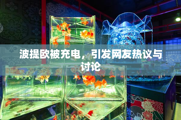 波提欧被充电，引发网友热议与讨论