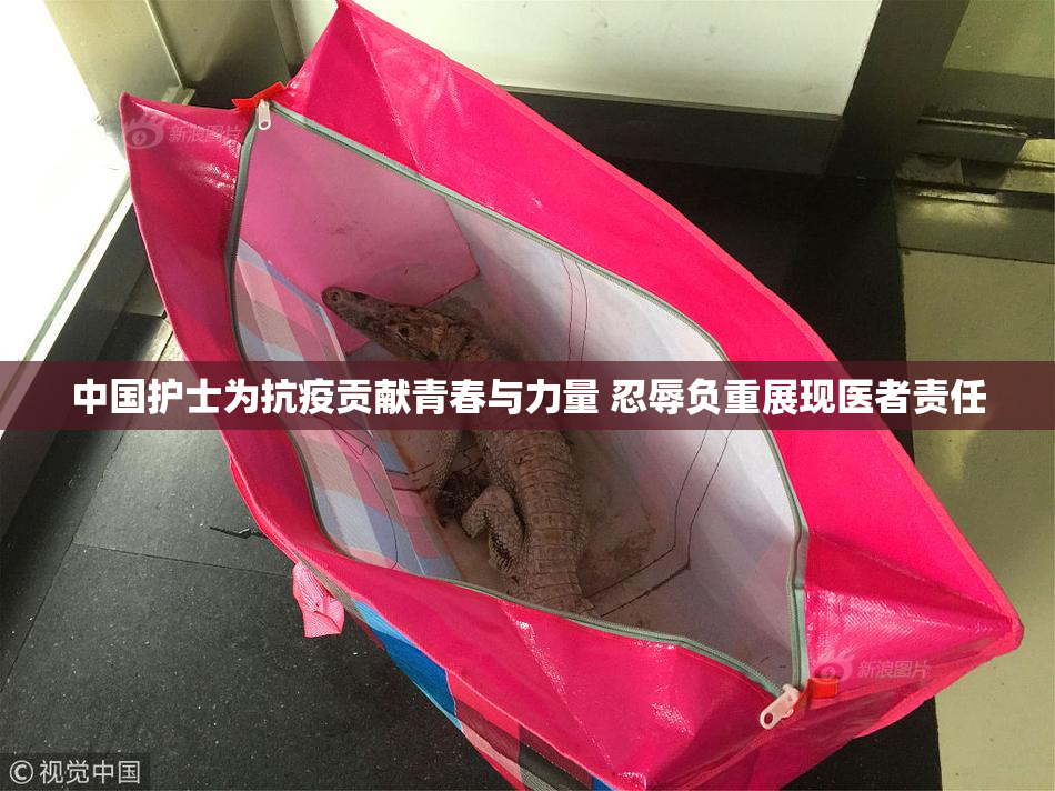 中国护士为抗疫贡献青春与力量 忍辱负重展现医者责任