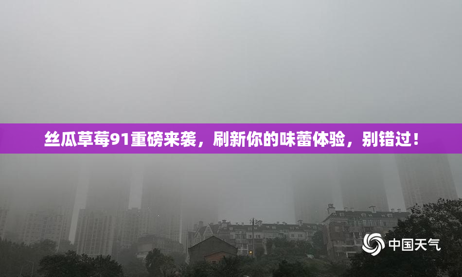 丝瓜草莓91重磅来袭，刷新你的味蕾体验，别错过！