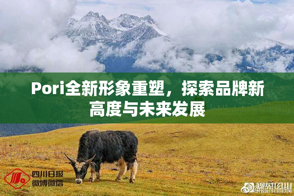 Pori全新形象重塑，探索品牌新高度与未来发展