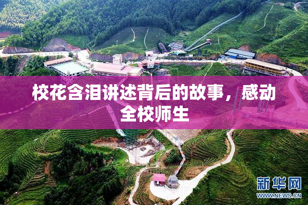 校花含泪讲述背后的故事，感动全校师生