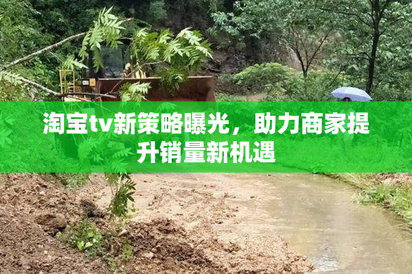淘宝tv新策略曝光，助力商家提升销量新机遇