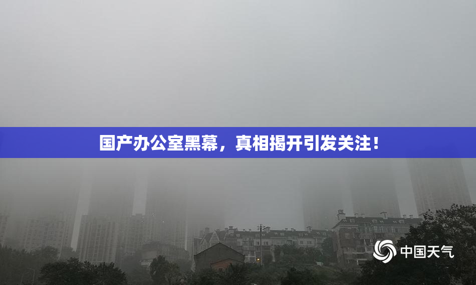 国产办公室黑幕，真相揭开引发关注！