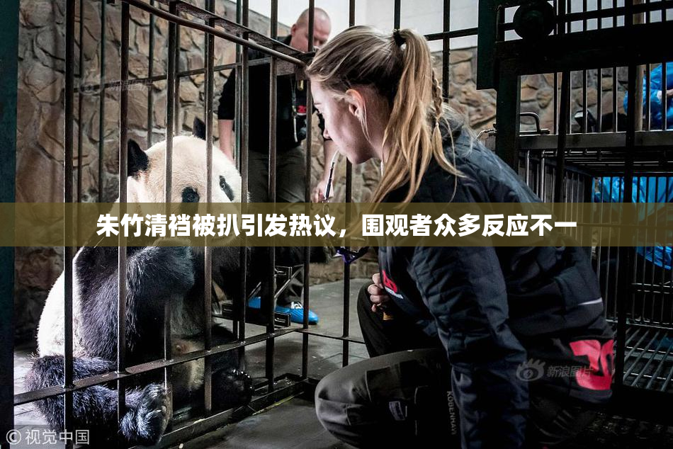 朱竹清裆被扒引发热议，围观者众多反应不一