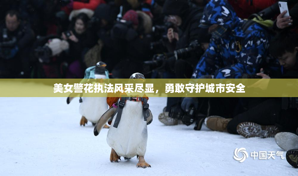 美女警花执法风采尽显，勇敢守护城市安全