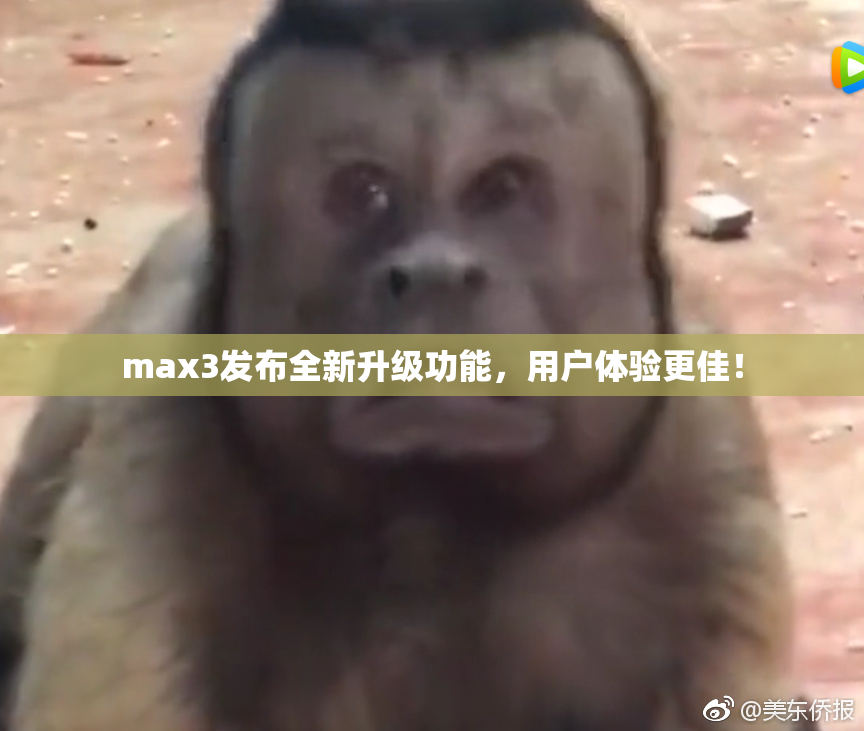 max3发布全新升级功能，用户体验更佳！