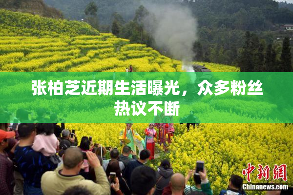 张柏芝近期生活曝光，众多粉丝热议不断