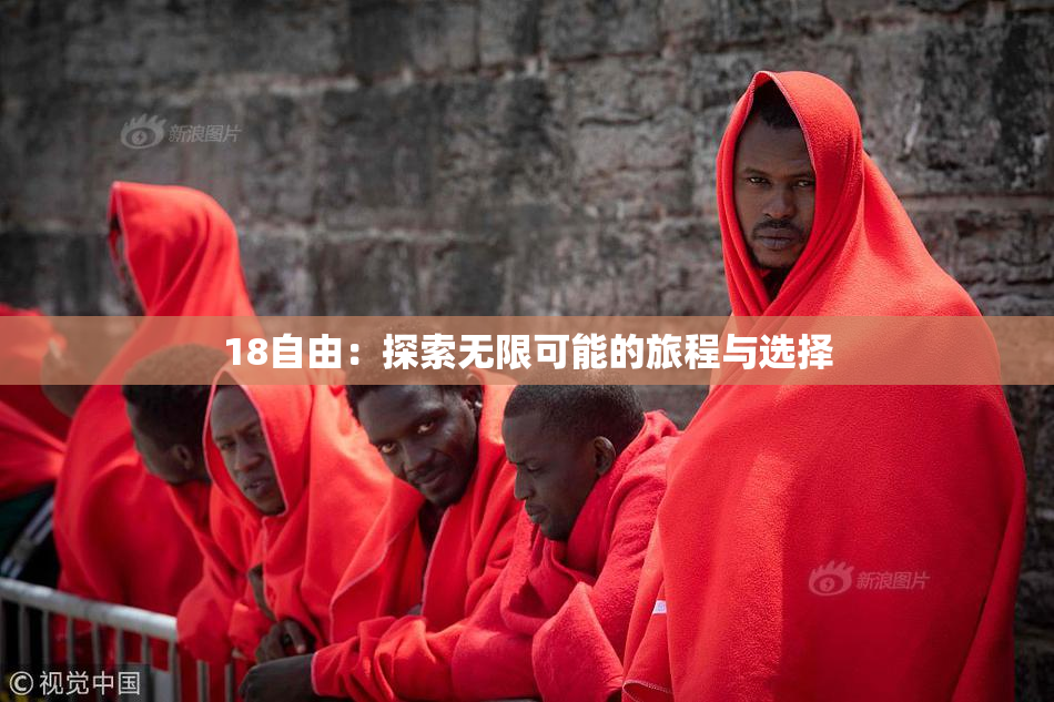 18自由：探索无限可能的旅程与选择
