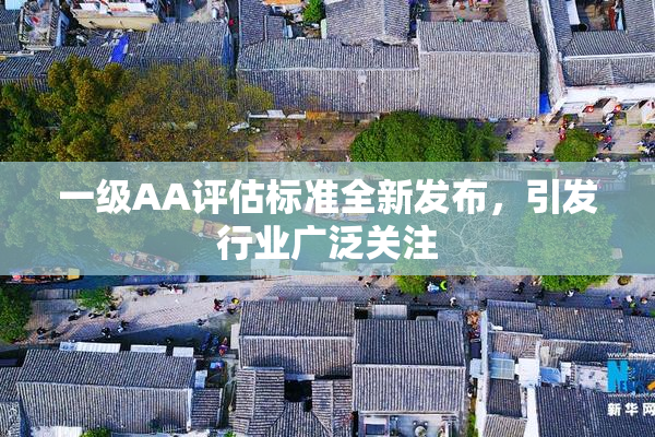 一级AA评估标准全新发布，引发行业广泛关注
