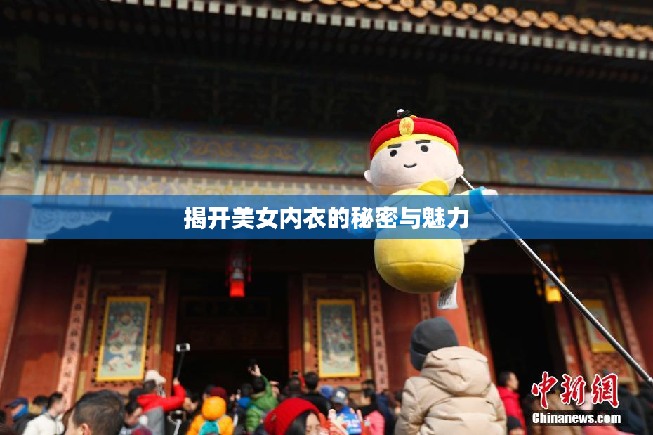 揭开美女内衣的秘密与魅力