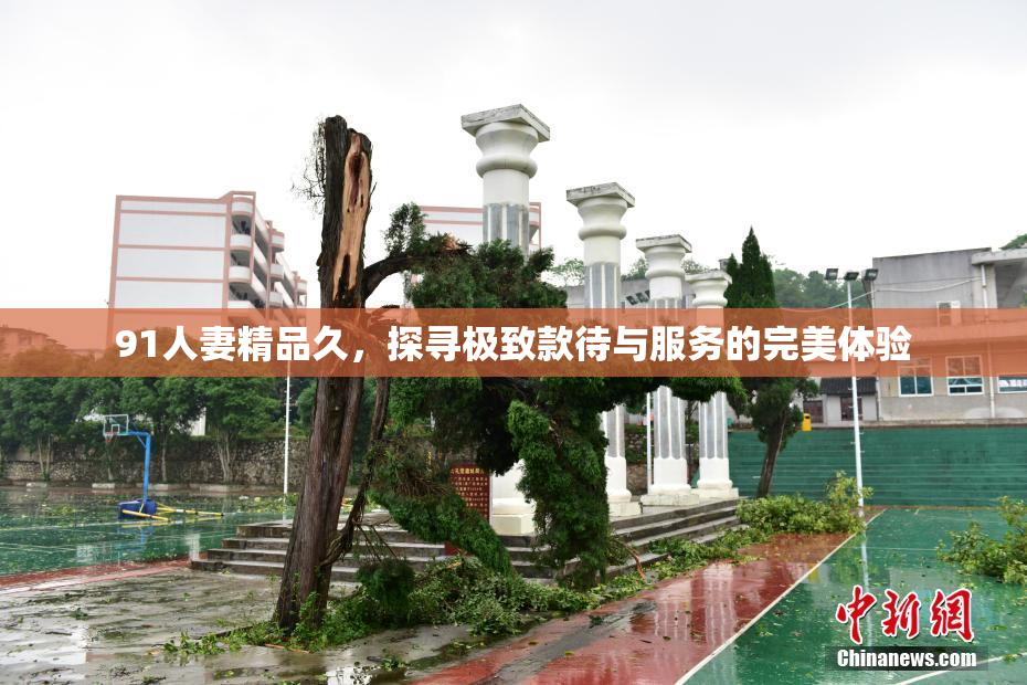 91人妻精品久，探寻极致款待与服务的完美体验