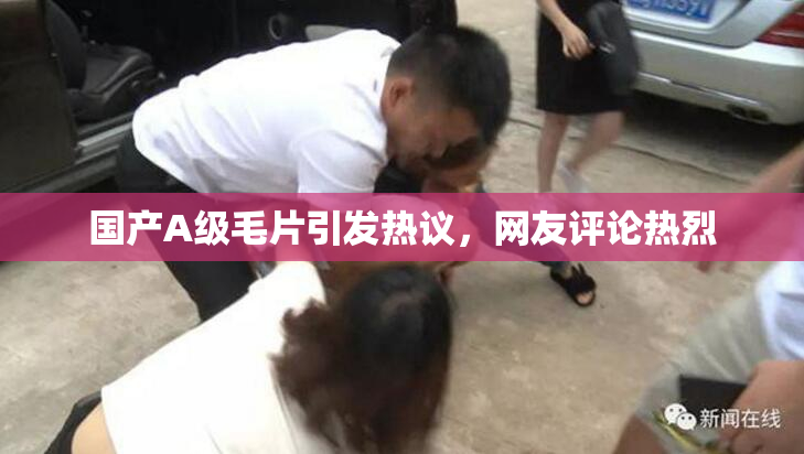 国产A级毛片引发热议，网友评论热烈