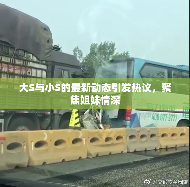 大S与小S的最新动态引发热议，聚焦姐妹情深