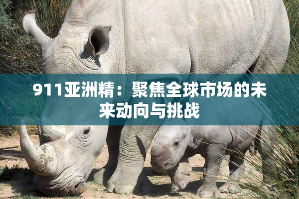 911亚洲精：聚焦全球市场的未来动向与挑战