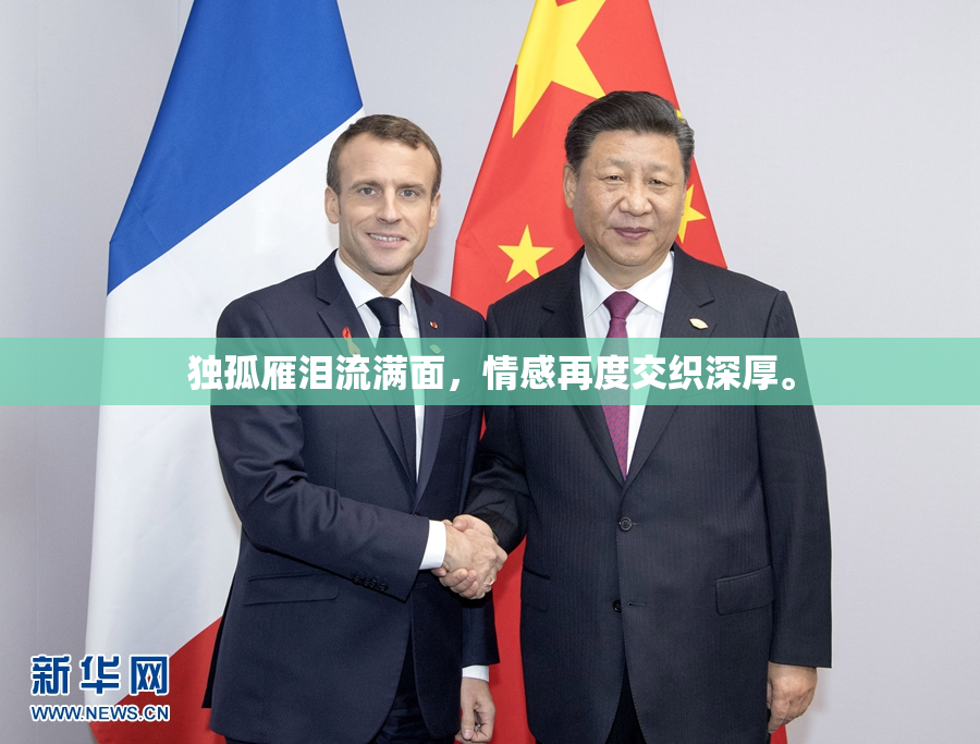 独孤雁泪流满面，情感再度交织深厚。