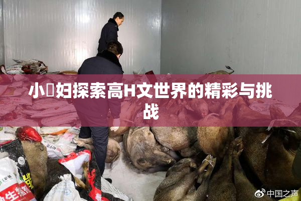 小婬妇探索高H文世界的精彩与挑战