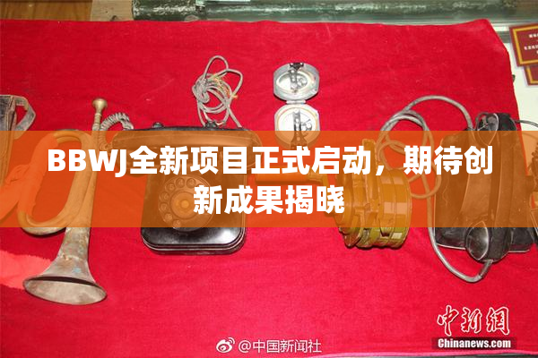 BBWJ全新项目正式启动，期待创新成果揭晓