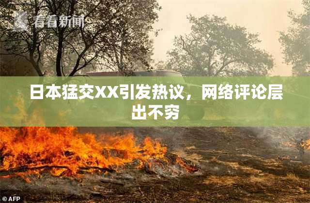 日本猛交XX引发热议，网络评论层出不穷
