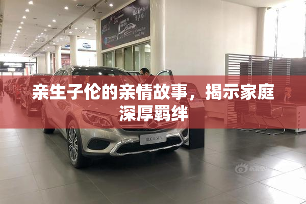 亲生子伦的亲情故事，揭示家庭深厚羁绊