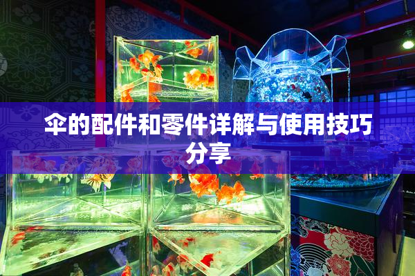 伞的配件和零件详解与使用技巧分享
