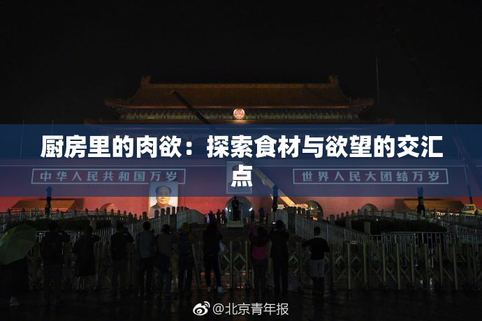厨房里的肉欲：探索食材与欲望的交汇点