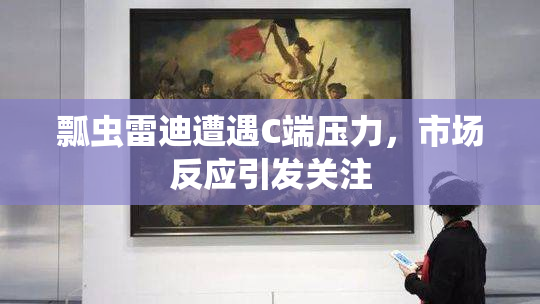 瓢虫雷迪遭遇C端压力，市场反应引发关注