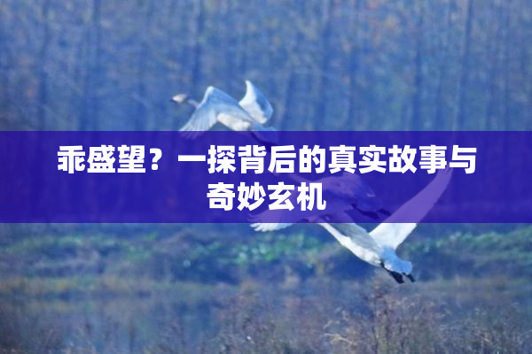 乖盛望？一探背后的真实故事与奇妙玄机