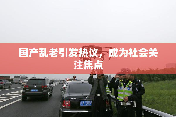 国产乱老引发热议，成为社会关注焦点