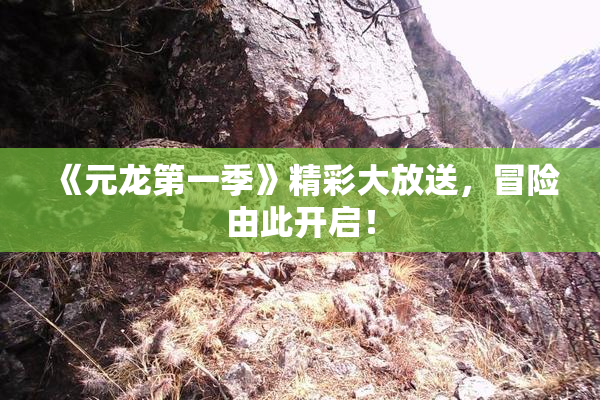 《元龙第一季》精彩大放送，冒险由此开启！