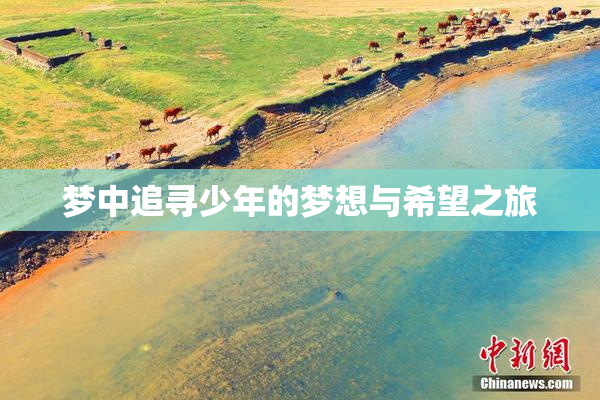梦中追寻少年的梦想与希望之旅