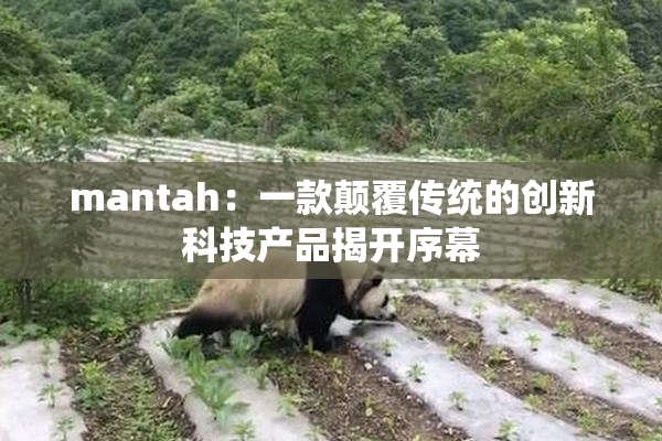 mantah：一款颠覆传统的创新科技产品揭开序幕