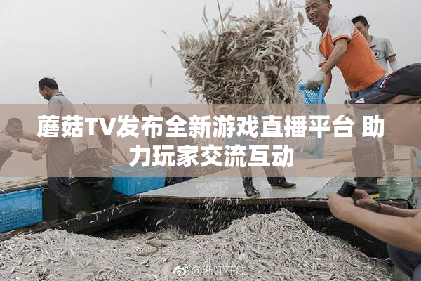 蘑菇TV发布全新游戏直播平台 助力玩家交流互动