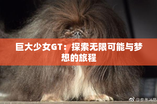 巨大少女GT：探索无限可能与梦想的旅程